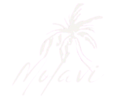 MOLAVI_Collection